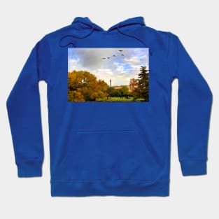 Autumn Trees Regent's Park London England Hoodie